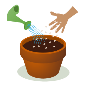 Planting