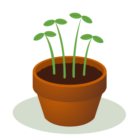 Sprouts