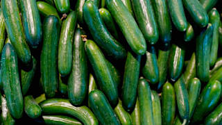 Cucumbers Sold at Costco, Walmart, and Other Stores Are Recalled Due to a Possible Link to a Salmonella Outbreak