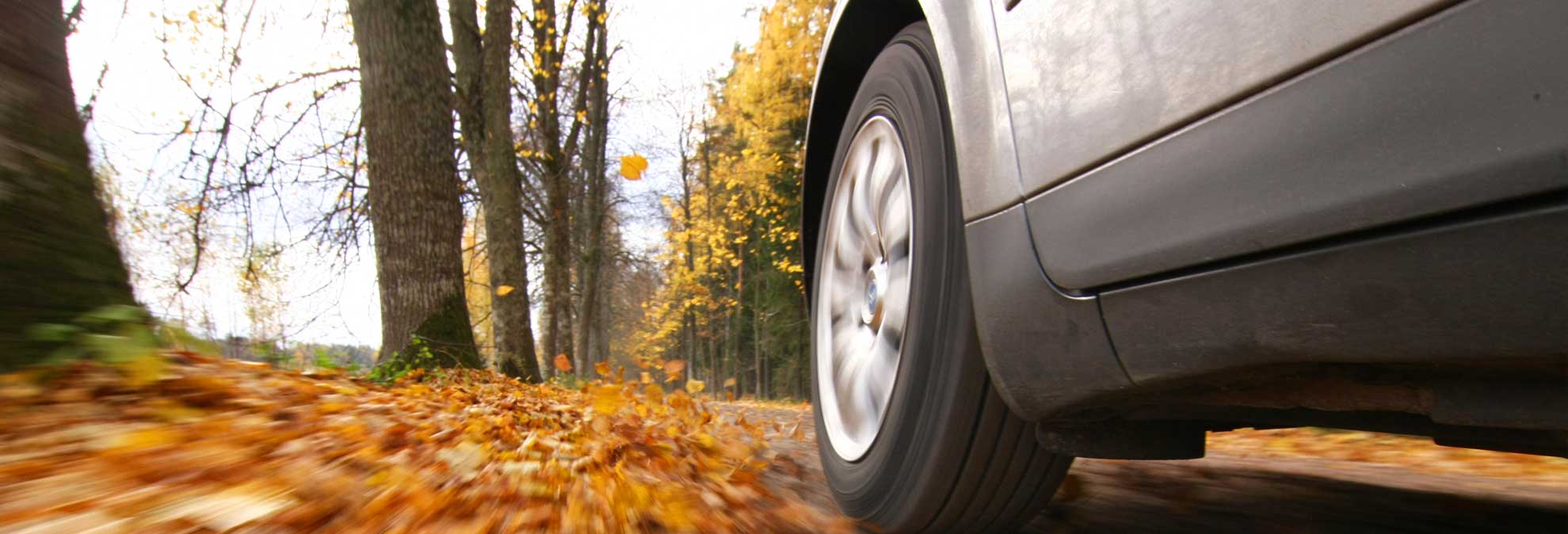 Fall Cleanup And Maintenance For Your Car Consumer Reports