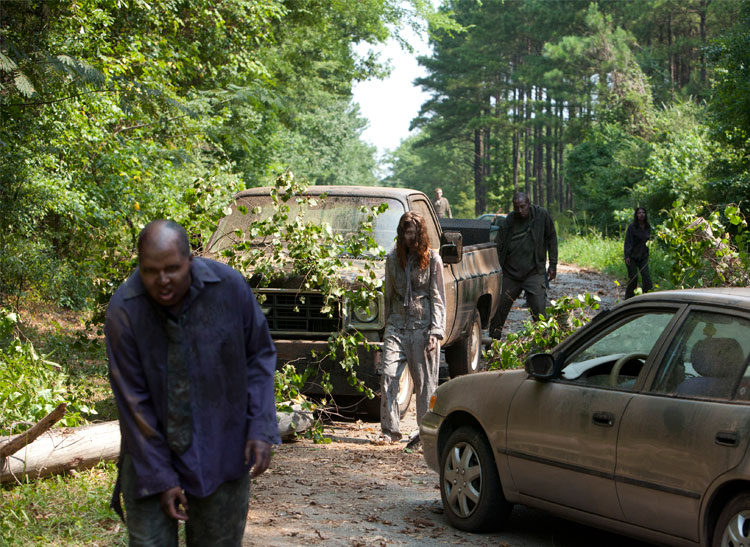 Tricks to Protect Your Car on Halloween Consumer Reports