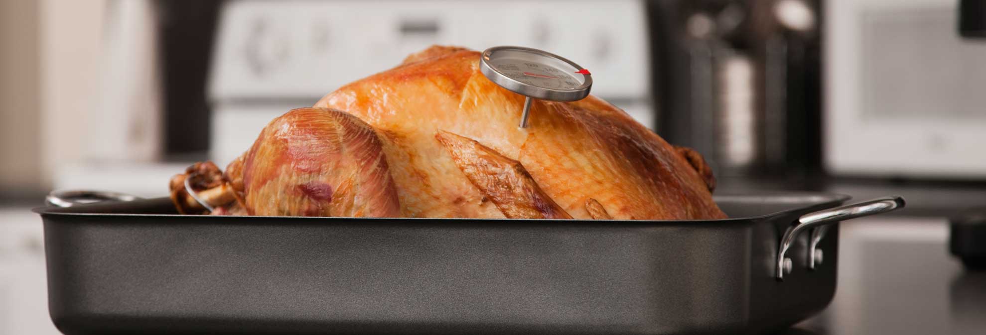 Meat Thermometer or PopUp Turkey Timer? Consumer Reports