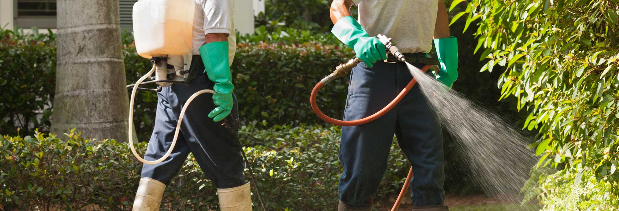 Most Reliable Used Trucks >> Should You Spray Your Yard for Mosquitoes and Ticks? - Consumer Reports Most Reliable Used Trucks >> Should You Spray Your Yard for Mosquitoes and Ticks? - Consumer Reports