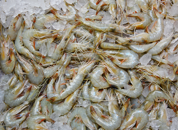 How Safe Is Your Shrimp? - Consumer Reports