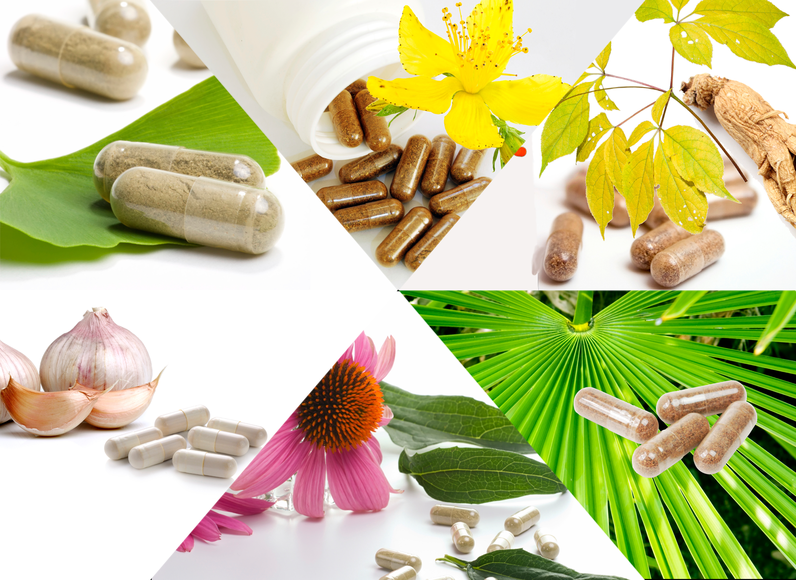 what-s-wrong-with-herbal-supplements-consumer-reports