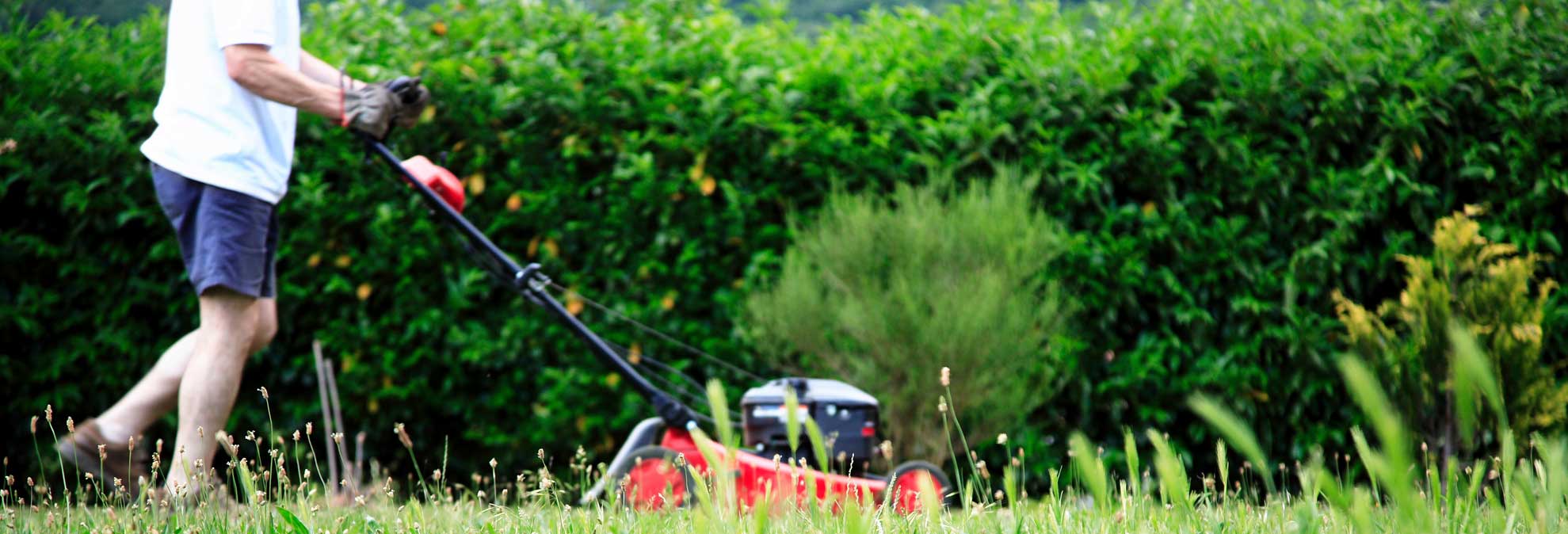 The Best Lawn Mowers for Every Budget Consumer Reports