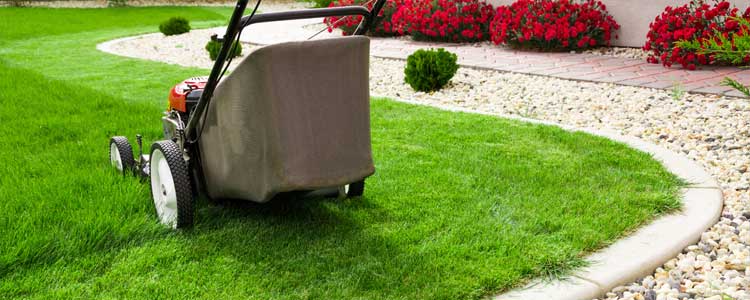 When is the best time to water your lawn?