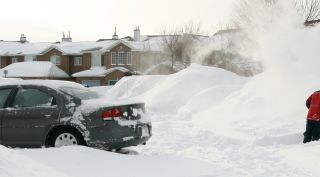 ray ban sunglasses turtle shell