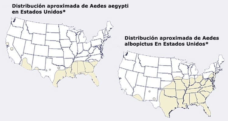 Mosquito map Spanish