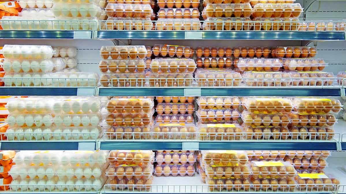 A supermarket shelf full of eggs. Eggs may contain salmonella.