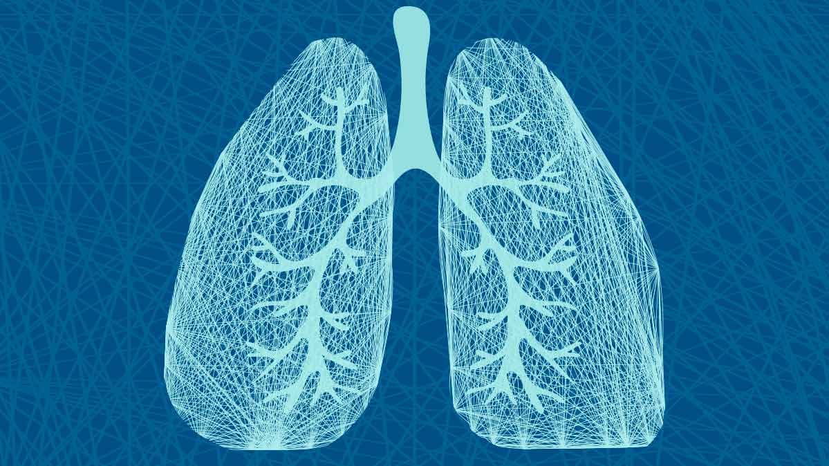 A light blue illustration of lungs on a dark blue background. 
