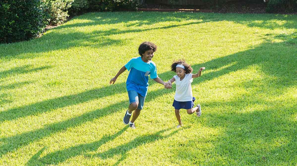 Lawn Care Tips To Get Your Yard Ready For Summer Consumer Reports