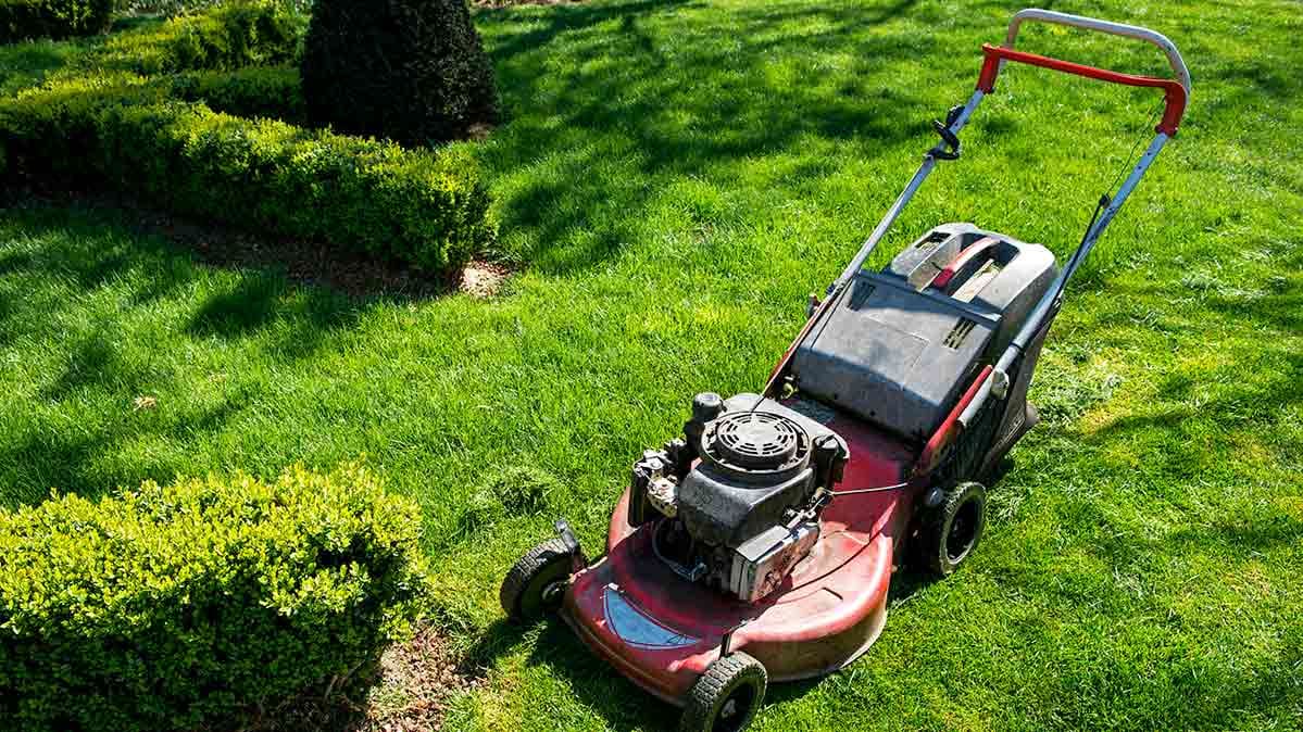 Lawn Mower Shops Closest To Me / 13 Legit Ways to Get a Free Lawn Mower (Near Me & Online ... / We found 47 results for lawn mower repair in or near kissimmee, fl.