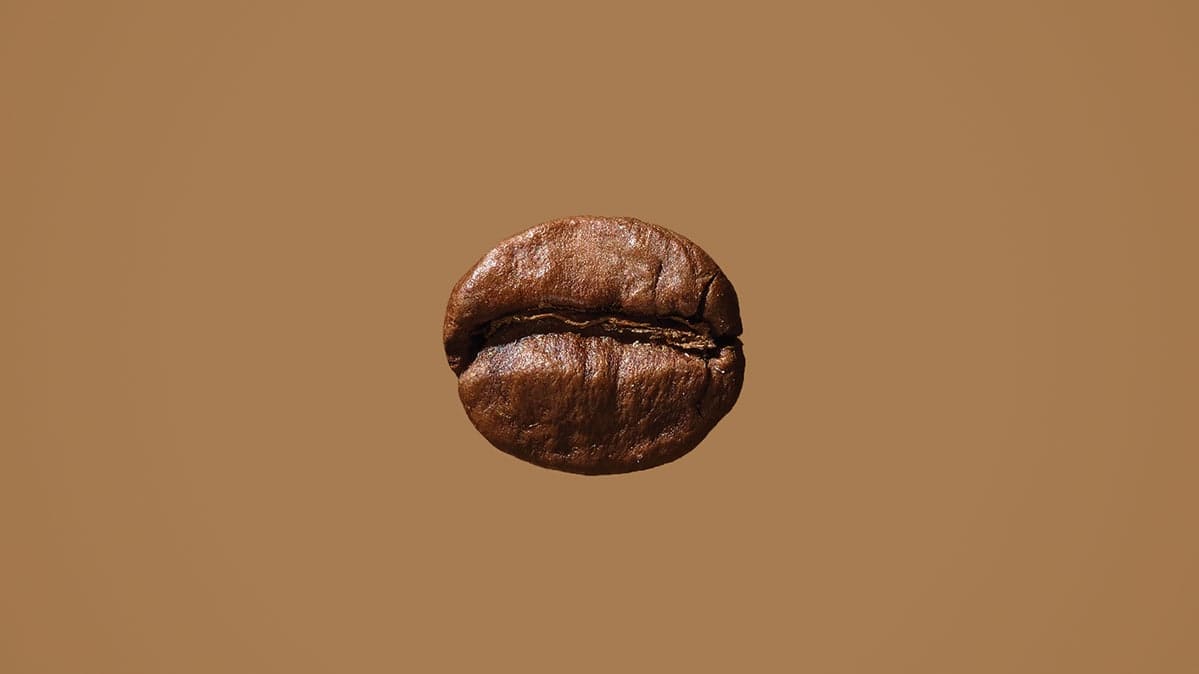 A single coffee bean.