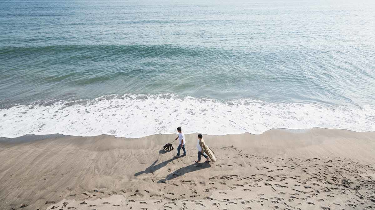 Stay Safe At The Beach During The Pandemic Consumer Reports