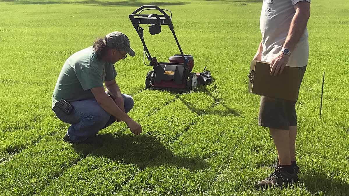 Best And Worst Battery Powered Lawn Mowers Consumer Reports