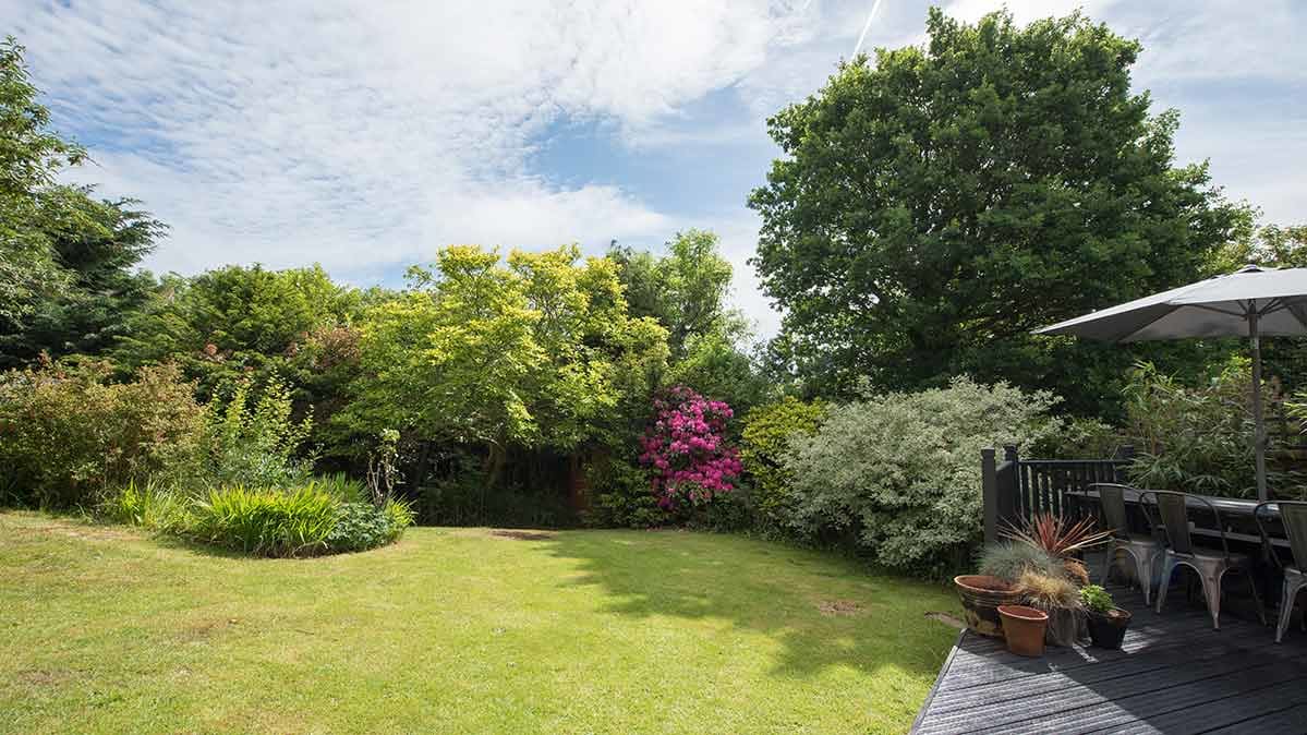 Best Yard Tools for a Great Lawn All Summer Consumer Reports