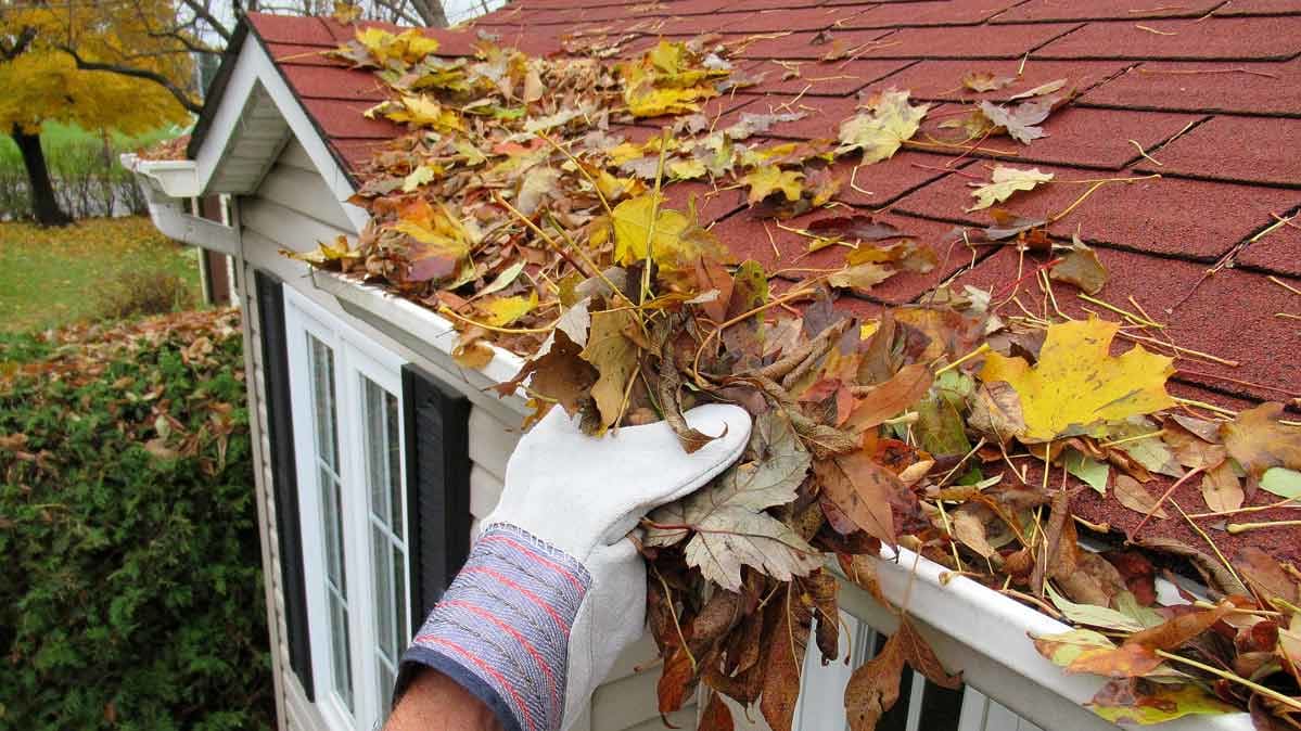 Gloved hand taking autumn leaves off a red shingled roof.