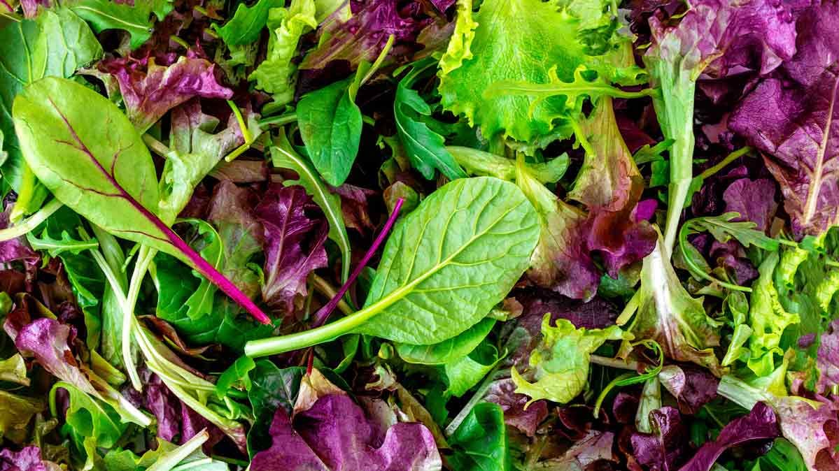 A bowl of mixed salad greens