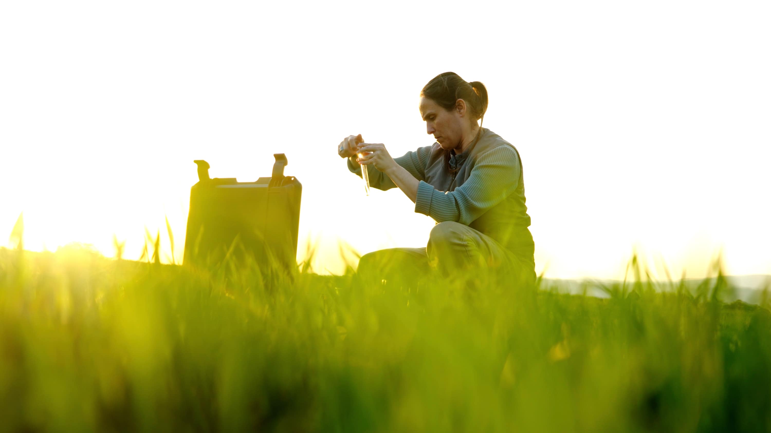 A woman kneels in a field at sunrise, examining a soil sample in a vial.