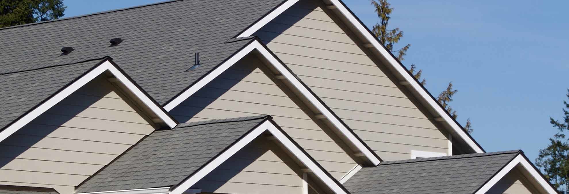 Photo of a roof and siding on a residential house