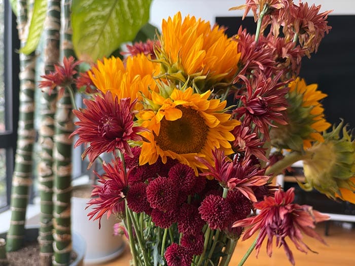A flower arrangement featuring sunflowers, spiky reddish-orange spider mums, and deep burgundy pom-pom chrysanthemums indoors.