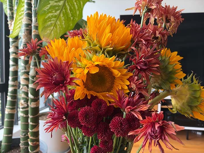 A flower arrangement featuring sunflowers, spiky reddish-orange spider mums, and deep burgundy pom-pom chrysanthemums indoors.
