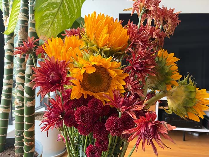A flower arrangement featuring sunflowers, spiky reddish-orange spider mums, and deep burgundy pom-pom chrysanthemums indoors.