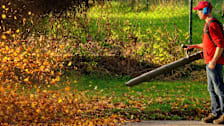 The Lawn Gear You Need for Fall Cleanup