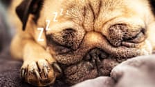 How to Stop Snoring