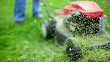 Cut grass flying out from under a lawn mower.