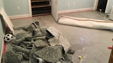 Flooded basement and torn up carpet