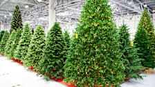 Fake Christmas trees in a store to purchase