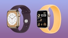 Apple Watch Series8 and Apple Watch SE