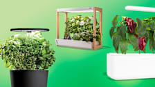 three tabletop hydroponic growing systems
