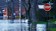 Flooded residential street at a stop sign