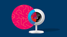 Rendering of a security camera with a pattern overlay on the camera