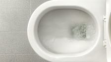 Smarter: Weird Things Found in Toilets