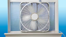 Fan in window