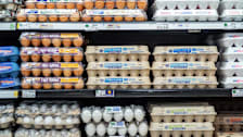 Cartons of Eggs on a shelf in a Texas Supermarket