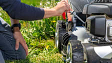 detail of person checking oil on push lawn mower with dandelions and grass behind them