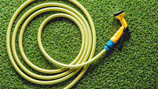 garden hose on grass