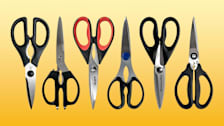From left to right: Wusthof, Shun, iBayam, Henckels, KitchenAid, and OXO kitchen shears