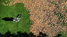 A man using an Ego LB7654 leaf blower to blow leaves in a yard.