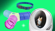Frisco Foldable Play Tri-Tunnel Cat Toy, Nite Ize Nitedog Rechargeable LED Collar, Litter-Robot 3 Connect cat litter box.
