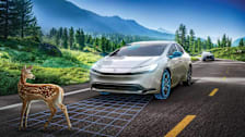 photo illustration of Toyota Prius on country road with doe in front of car and Subaru behind it