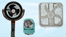Dreo Oscillating Box Fan, Vornado Flippi V6 Personal Air Circulator, and Genesis Designs 20 Inch Box Fan