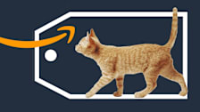 A cat walking along a deals tag