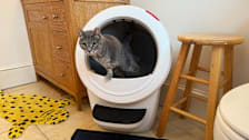 a cat using the Whisker Litter Robot 4 in a bathroom