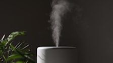 close up of top of humidifier showing mist against dark wall, plant to left side of humidifier